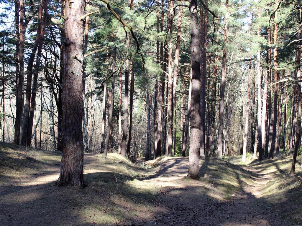 Willa Byron Rälla Zewnętrze zdjęcie